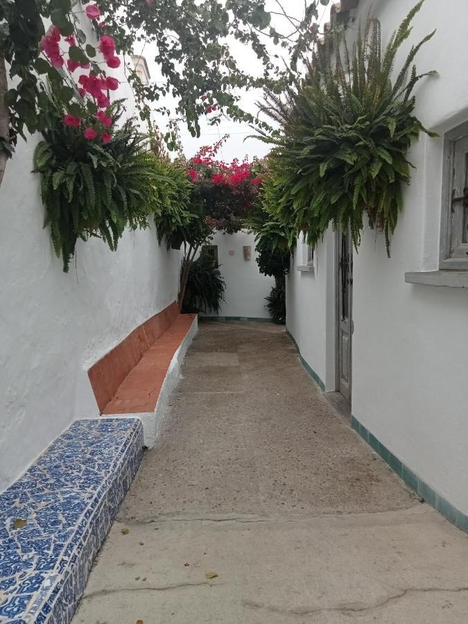 La Chanca Otel Conil De La Frontera Dış mekan fotoğraf